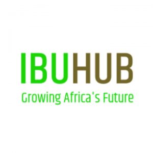 ibuhub_logo-300x300
